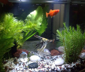 空氣過濾棉用于水過濾