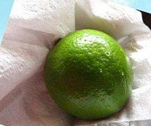 水果保鮮解剖圖