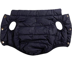 羊毛絮片可應用于寵物服裝